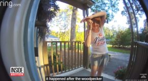 Woman Gets A Baby Woodpecker Tangled Up In Her Hair!