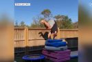 Cute Little Girl Teaches Her Father Gymnastics!