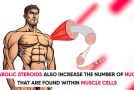 The Effects Of Steroids On Human Bodies!