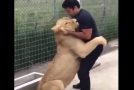 Times When Animals Reunited With Humans After A Long Time!