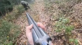 Fearless Russian Man Doesn’t Shoot Mother Bear When She Charges At Him