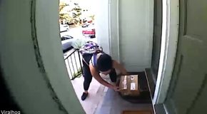 Package Thief Gets Caught In A Trap And Much More!