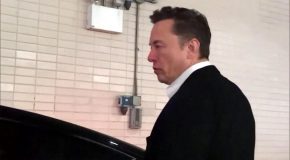 4,000 Twitter Employees Get Fired By Elon Musk!