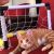 Compilation Of The Best Saves By This Goalkeeper Cat