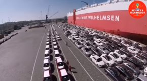 Here’s How Thousands Of Cars Get Exported With The Help Of Shipping Carriers