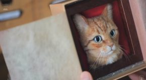 Needle Felting Highly Realistic Cat Portraits