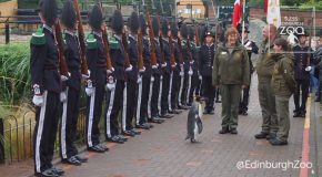 Emperor Penguin Gets Promoted To Brigadier By The Norwegian King’s Guards