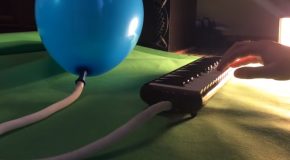 Playing Some Cool Reggae On A Melodica Attached To A Balloon