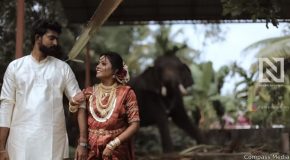 Wedding Photoshoot Gets Ruined By An Elephant And A Lot More