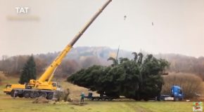 When Crane Operators Make Huge Mistakes