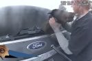 Cop Rescues A Dog Stuck In A Burning Car, Dog Thanks Him With Kisses