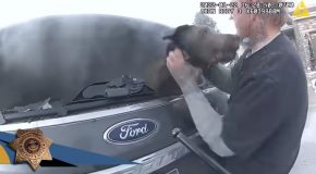Cop Rescues A Dog Stuck In A Burning Car, Dog Thanks Him With Kisses