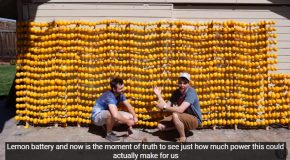 Making The World’s Largest Lemon Battery And Powering A Supercar With It