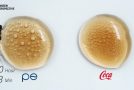 Time Lapse Of Ants Drinking Pepsi And Coca-Cola