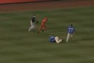 Compilation Of Some Of The Most Unexpected Baseball Delays