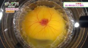 Chicken Embryo Development Without The Shell in a Glass