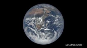 One Year on Earth From One Million Miles Away