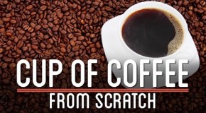 HOW TO MAKE COFFEE FROM SCRATCH
