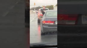 Dog Tries To Eat RainDrops Out Of Car Window