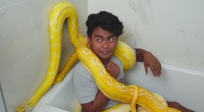 Snake Bath Challenge