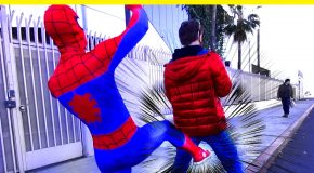 Anatomically Correct Spider-Man