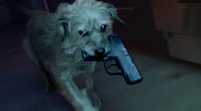 Dog Wick Is Like John Wick But About The Dog