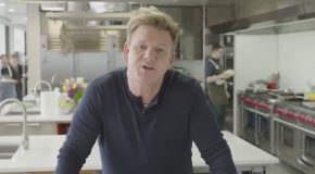 Chef Support With Gordon Ramsay