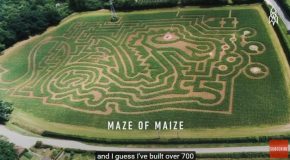 The Master Of Mazes