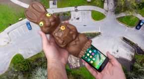An iPhone And Chocolate Easter Bunny Experiment