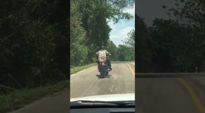 Snake Wants To Hitch A Ride With Motorcyclist