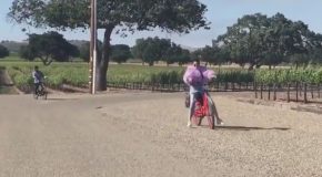 Kendall Jenner Bike Fail Video