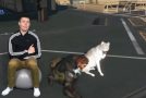 Amusing Thoughts on Dogs in Video Games