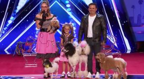 Family Act Brings 6 Circus Dogs On Stage, Wows Judges With Vegas-Worthy Performance.