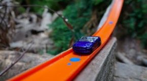 Hot Wheels Cars Race Through the Redwood Forest