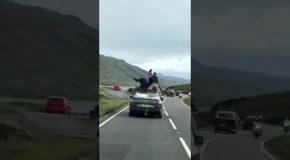 Kids Risk Their Lives Car Surfing in Scotland