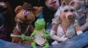 Rainbow Connection – The Muppets at The Hollywood Bowl