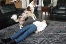 Dog Does CPR And Saves Her Owners