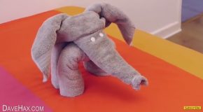How to Make a Cute Elephant Display by Folding Towels