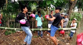 A Bamboo Boxing Match