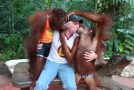 Having Fun With Orangutans!