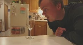 How To Break A Wine Glass With Just Your Voice
