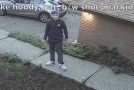 How an Idiot Steals a Package