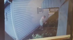 Neighbor From Hell Caught Spray Painting Neighbors Property