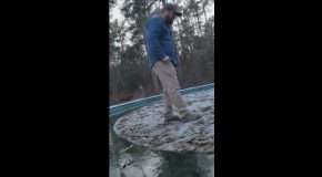 Falling Through Pool Ice