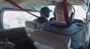 Goose Suddenly Crashes Through Airplane’s Windshield