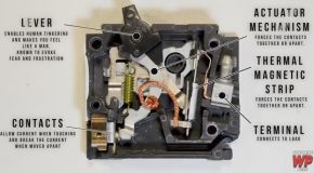 How a Circuit Breaker Works in Slow Motion