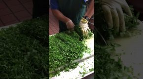 Satisfying Video of Cilantro Being Chopped