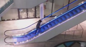 Drunk Dude Takes On Escalator