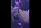 Idiots In Miami Ride A Horse Into A Nightclub!