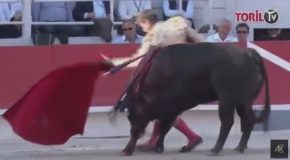 French Bullfighter Gets Spanked By Bull Pretty Hard